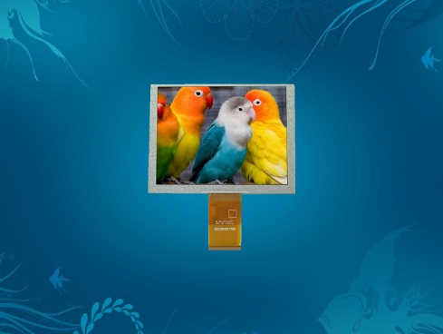 探索群創液晶屏的多面性